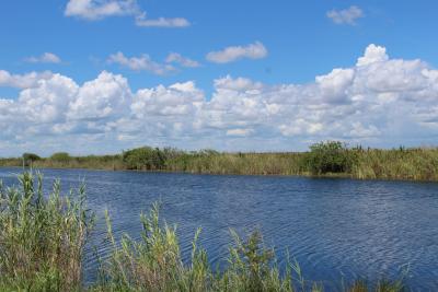 8 - Draining the Everglades