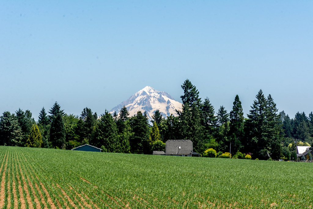 Portland Farmers Markets   Tq6XlBT0v9kfZJKvyCvOp 