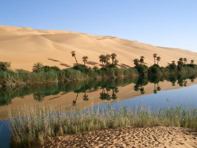 From Desert to Oasis