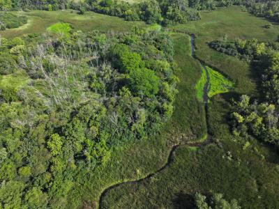 Drone Flight at Sequoit Creek