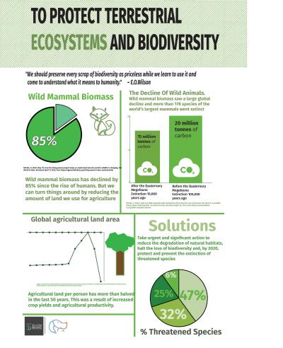 Terrestrial ecosystems and biodiversity