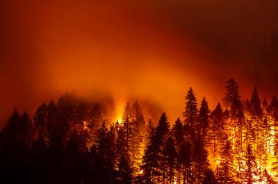 Wildfires expectancy in relation to U.S. population growth