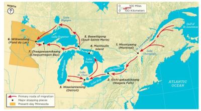 Wild Rice waters in Northern Wisconsin