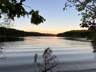 Expected and Unexpected Species of Blue Jay Point