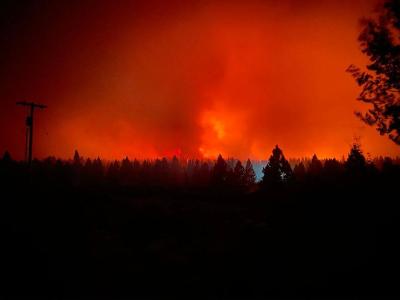 Forest Fires in the Pacific Northwest