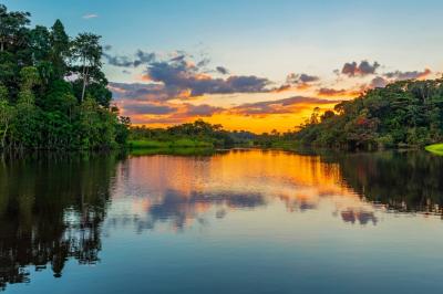 Deforestation Drives Disease, Climate Change and It's Happening at