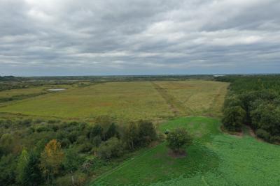 Deer River Mitigation Bank