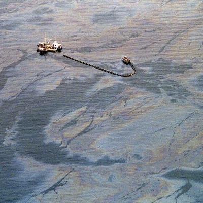 The Exxon Valdez Disaster