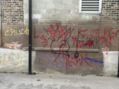 Gang Vandalism in Gage Park