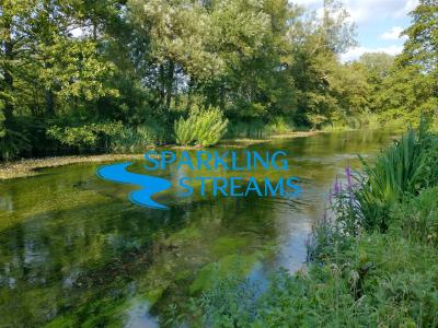 Sparkling Streams