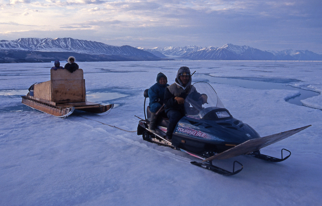 Life And Death In The Arctic