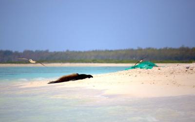 Midway Atoll National Wildlife Refuge (NWR) Midway Atoll National Wildlife Refuge (NWR)