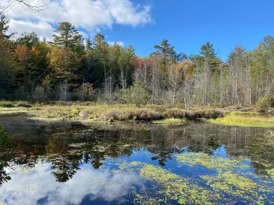 Michigan's Hidden Gem: Gete Mino Mshkiigan - An Immersive Journey into Nature's Embrace