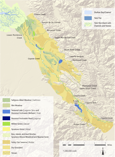 Better Flooded Than Prevented: 2017 Coyote Creek Flood