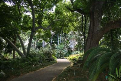 Kauri Park — We are on a mission from Mother Nature herself.