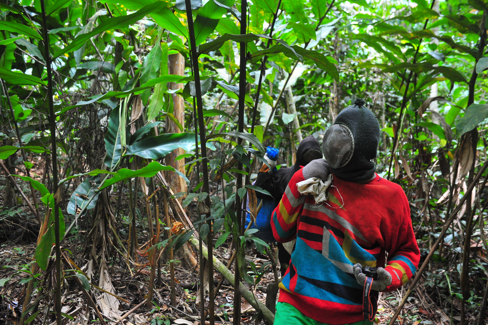 Cultivating vanilla to support the forest and sustainable livelihoods