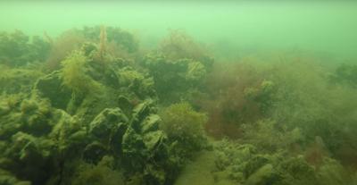 Harris Creek Oyster Sanctuary