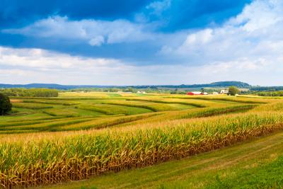 The Problem of Food Deserts in Rural Iowa