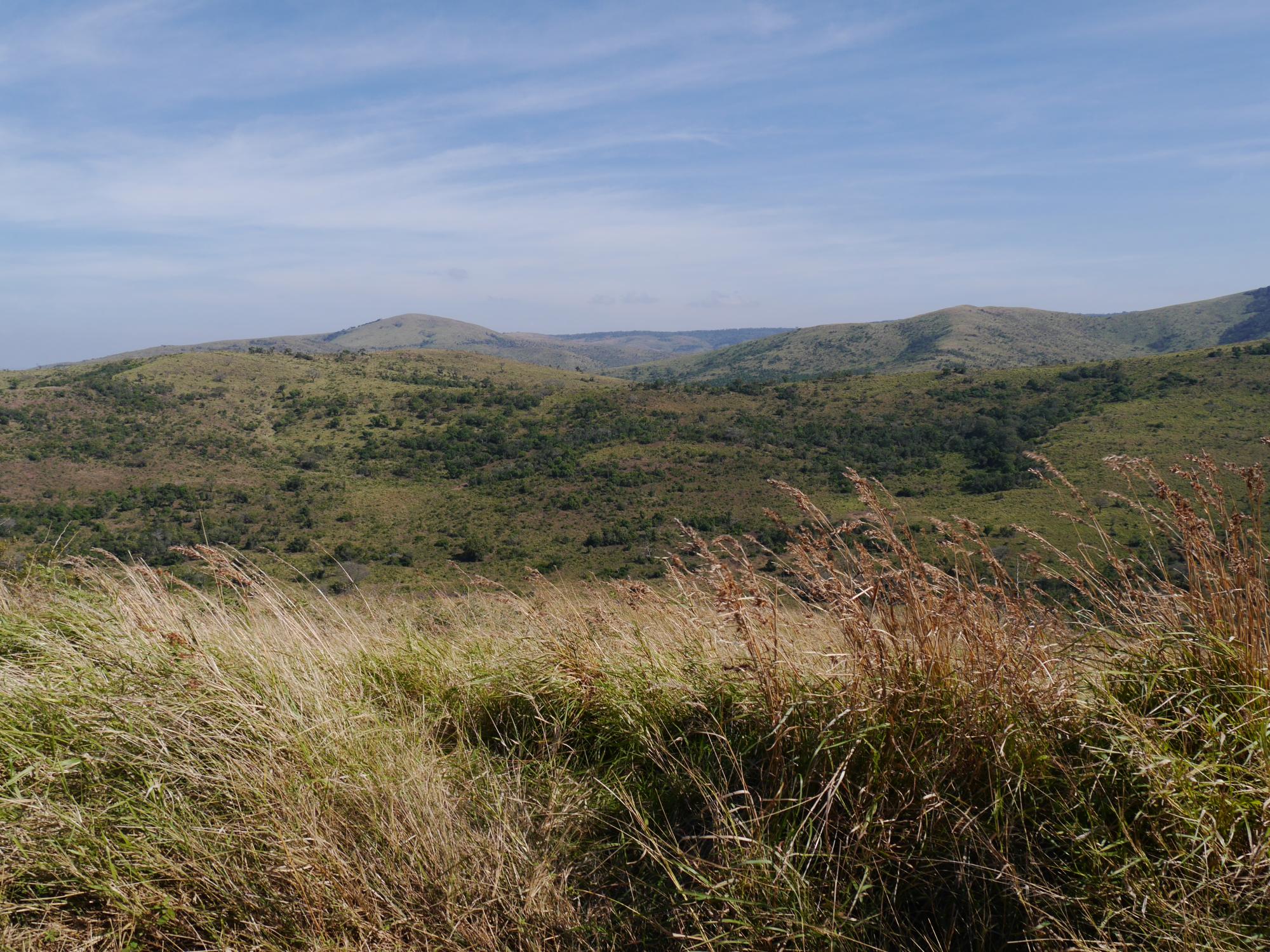 Bateke Plateaux Landscape