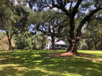 Hyde Park Plantation