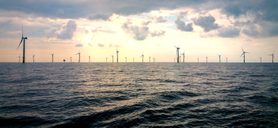 Interactions between birds and offshore wind farms project