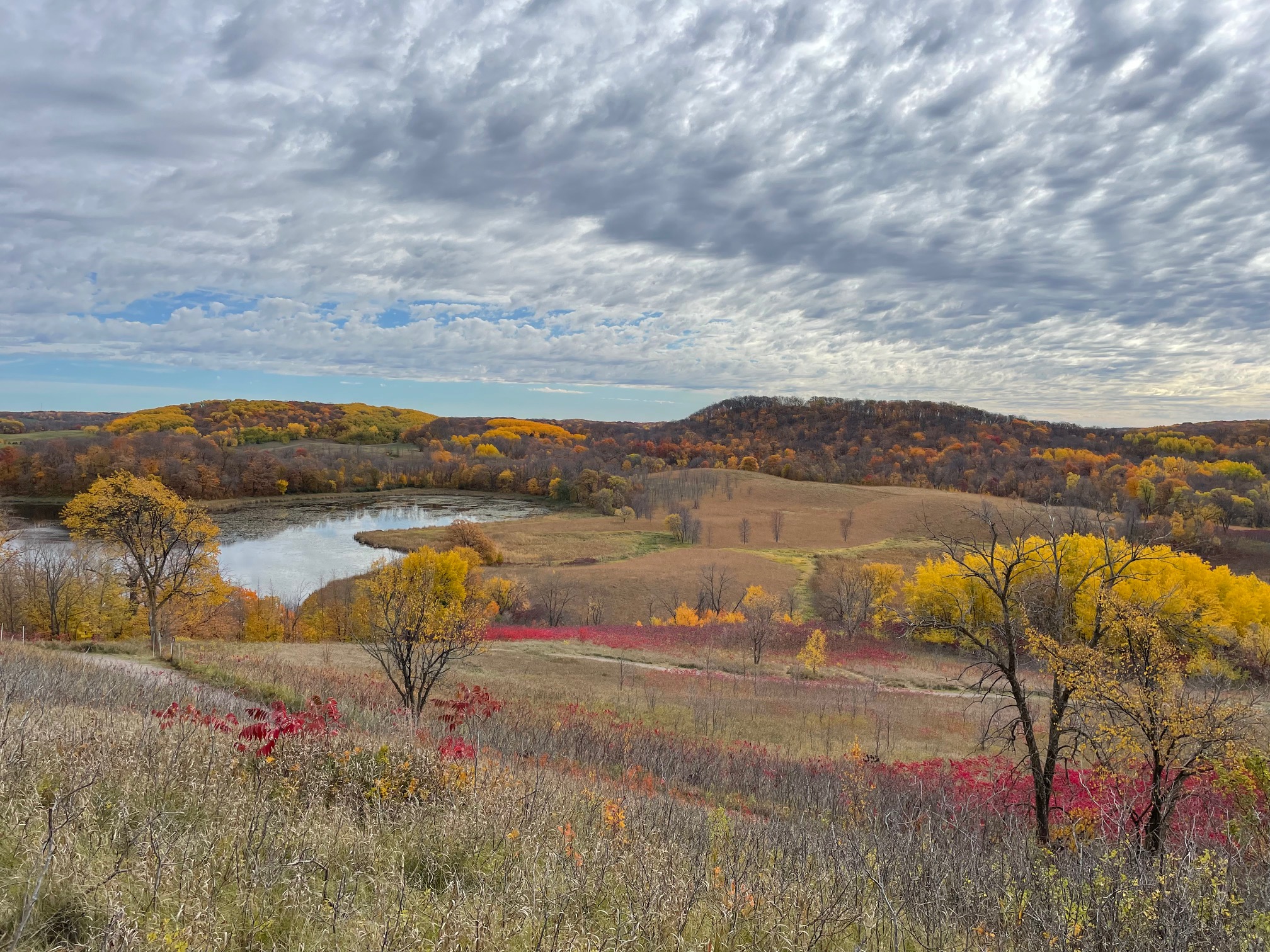 Otter Tail County Geologic Atlas