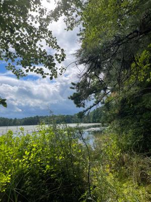 Lake Fred Map Project