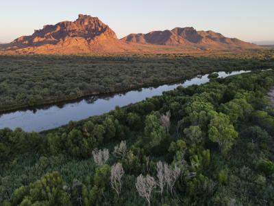 Tour the Lower Salt River Restoration Project