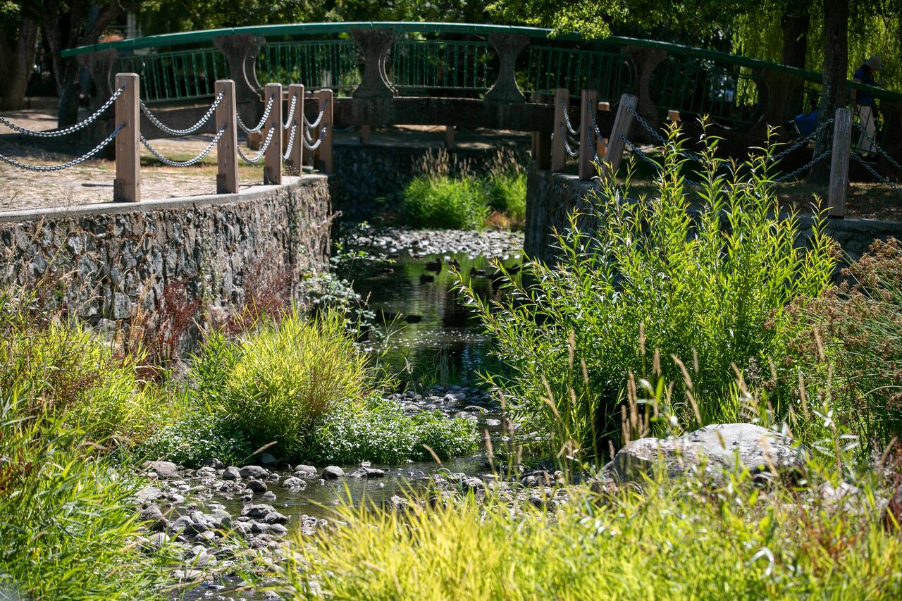 Green Spaces Of Bowker Creek