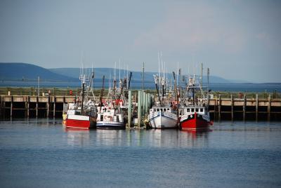 Trend 21 - Impact of Climate Change on Nova Scotia Fisheries