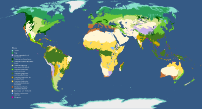 Biogeography Portfolio