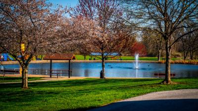 The Parks Of Florissant, Missouri