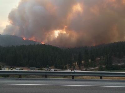 Land Cover Change After Wildfire in Northeast Washington.