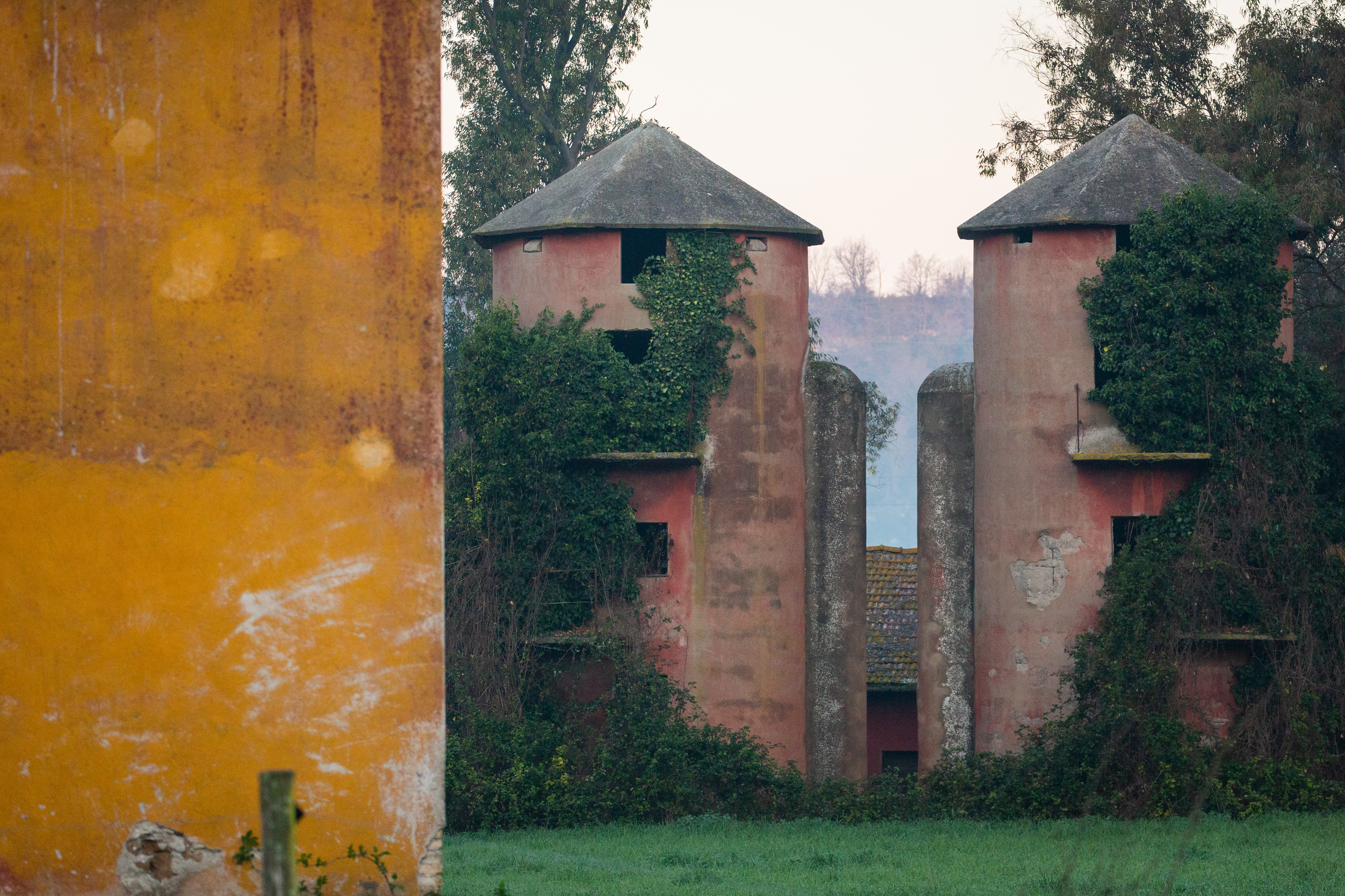 Azienda Agricola Boccea