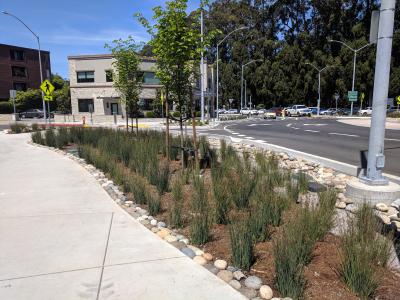 Burlingame, Donnelly Avenue Rain Garden – Flows to Bay