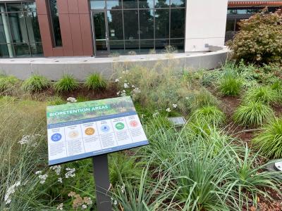 Green Infrastructure in Burlingame