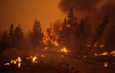 First annual National Wildland Firefighter Day - Wildfire Today