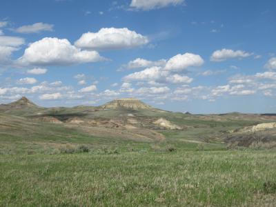 Grasslands: The Land and the People That Call it Home