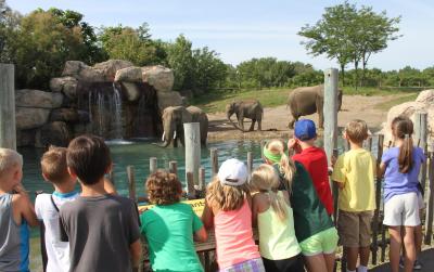 Zoos' Real Impact