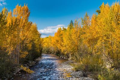 Mission Creek Greenway Regional Park