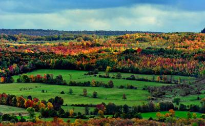 Tourism in Blue Mountain and surrounding area