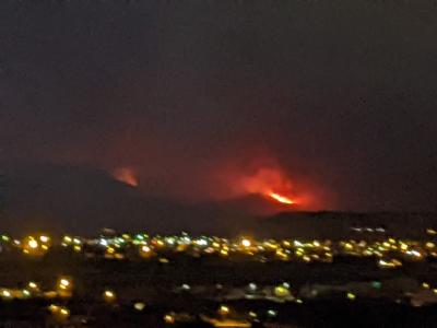 Effects of Wildfires and Management Biology Diagrams