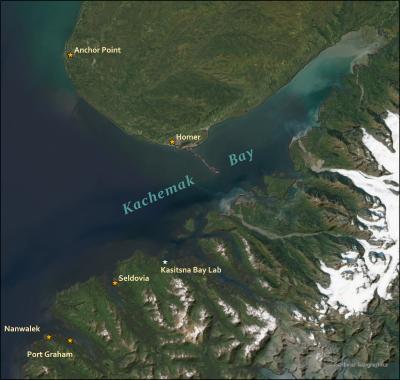 Kachemak Bay Ecosystem Assessment Project