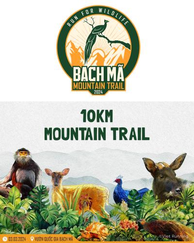 Bach Ma Mountain Trail 2024 10km