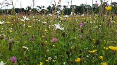 Biodiversity areas in Renfrewshire