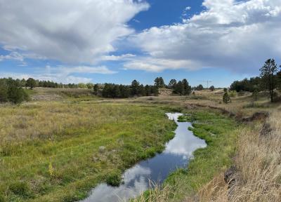 Monument Creek Fluvial Hazards