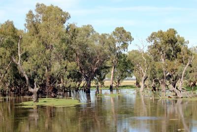 Widespread environmental benefits across the Basin