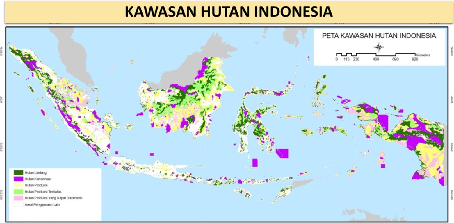 HUTAN INDONESIA