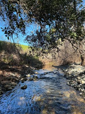 Re-Naturalization of Upper Stenner Creek