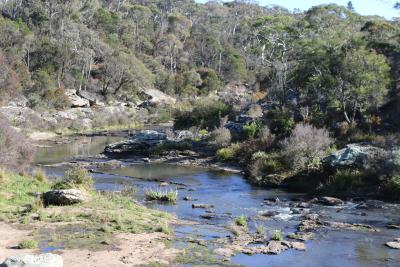 Wingecarribee River Restoration: Wall to Wollondilly